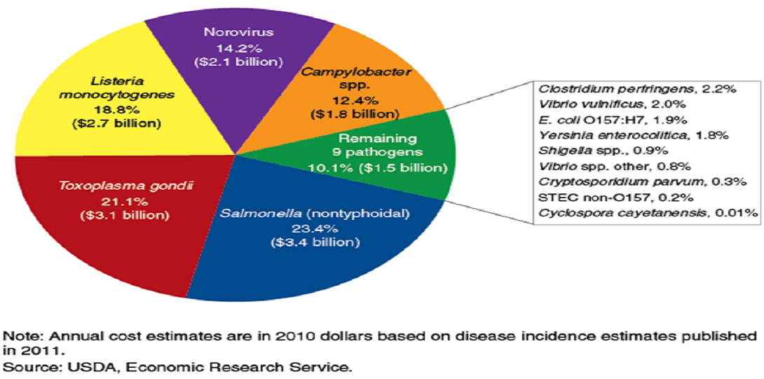 Foodillness2